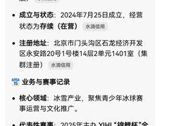 -冠军冰场CHAMPION RINK(中华城店)