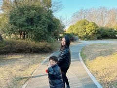 -桃花岛景观公园