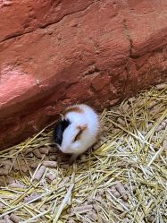 点击看大图 -Zoolung Zoolung动物主题公园(海信广场店)