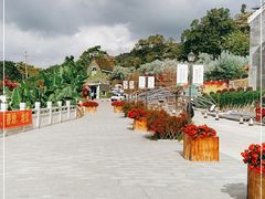-广州市石门国家森林公园
