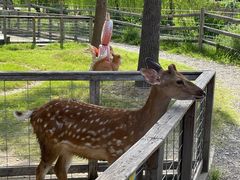 -前小桔亲子创意农场·草莓采摘·露营烧烤