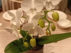 -聚福宝合苑食府(南头镇店)