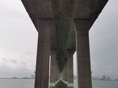 -中澳友谊花园