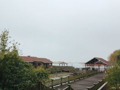 -新木器时代餐厅(太湖新天地店)