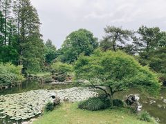 -杭州植物园