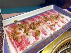 -杨记齐齐哈尔烤肉(五莲路店)