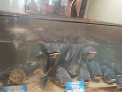 -上名堂·鱼头好吃(体育场路店)