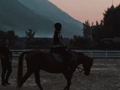 -梦娜斯庄园