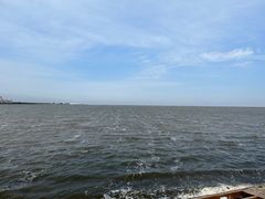 -碧海金沙