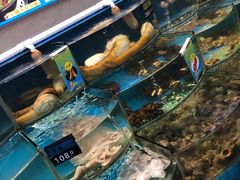 -舟山希尔顿酒店