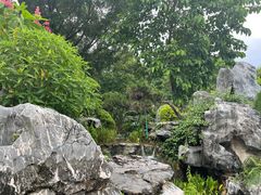 -东莞植物园
