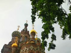 -滴血救世主教堂