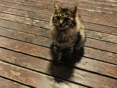 -巴伐利亚啤酒坊(意式风情街店)