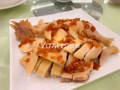 -璞正元酒楼·粤菜·早茶(大朗店)