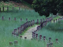 -红花山公园
