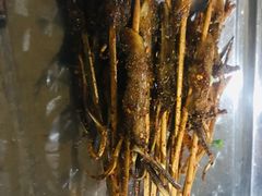 烤牛肉-夜烤·宜宾烧烤(洋河路店)