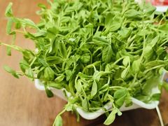 拌豌豆苗-聚宝源(牛街创始店)