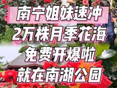 -南宁南湖公园