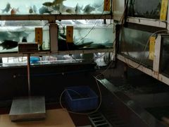 -巨元河鲜酒楼·清远特色菜名店(英德店)