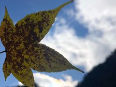 -白云源风景区
