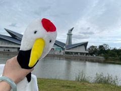 -盐城丹顶鹤湿地生态旅游区