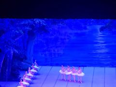 -交通银行前滩31演艺中心