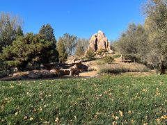 -北京野生动物园