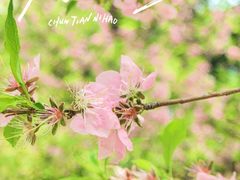 -苏州上方山国家森林公园