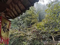 -藏龙百瀑风景区