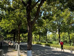 -广东花都湖国家湿地公园