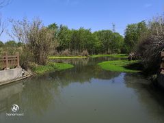 -桤木河湿地公园
