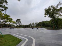 -王借岗森林公园