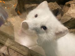 -南京金牛湖风景区