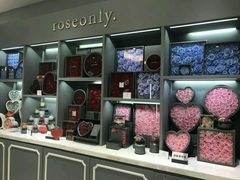 -ROSEONLY诺誓(广州K11店)