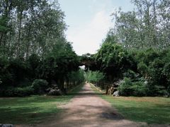 -合肥滨湖国家森林公园