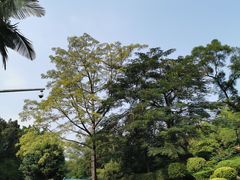 -炮台山公园