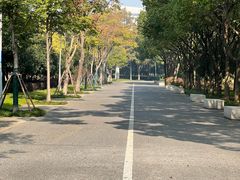-尚贤河湿地
