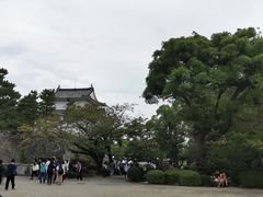 -名古屋城