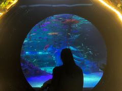 -沈阳海洋探索中心