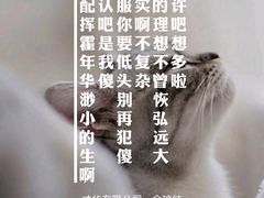 -李先生牛肉面大王(太原南内环店)