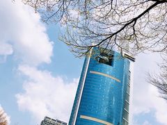 门面-深圳特区报业大厦