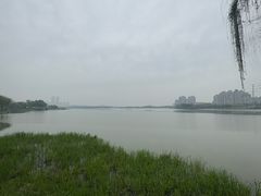 -金银湖国家城市湿地公园
