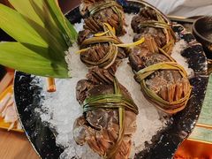 -牛New寿喜烧(中山公园龙之梦店)