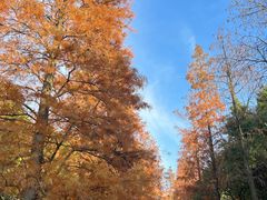 -上海山野camping·户外天幕烧烤·团建拓展营地
