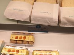 -蒲公英(五里店)
