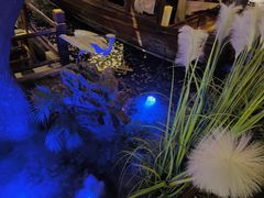 -绿茶餐厅(领展购物广场·中关村店)