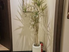 -谧境·爱SPA(春熙路店)