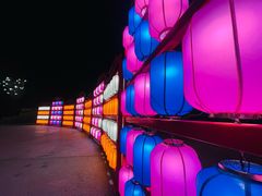 -青龙湖公园