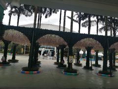 -海合安成都极地海洋公园