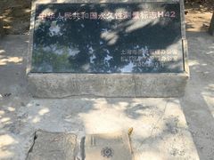 -上海佘山国家森林公园天马山园